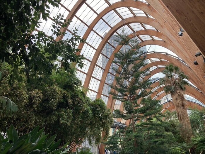 Some trees inside the glass roofed Winter Garden